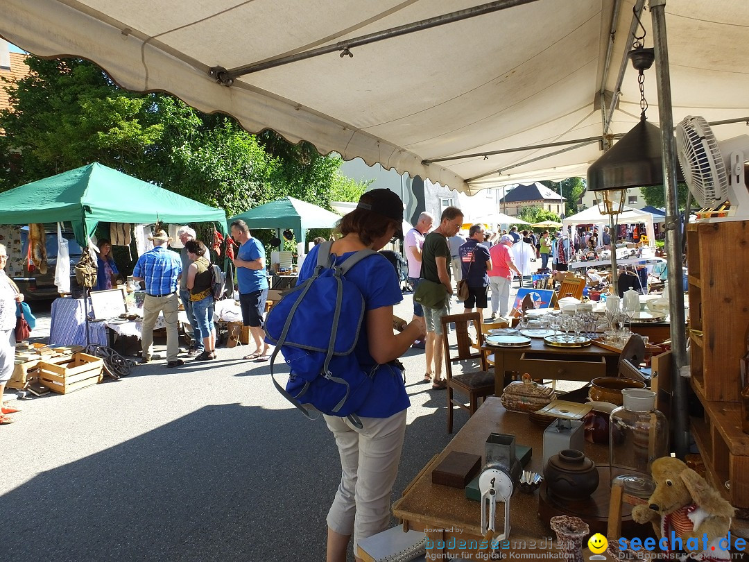 Flohmarkt und Schlossfuerhung: Zwiefaltendorf, 29.06.2019