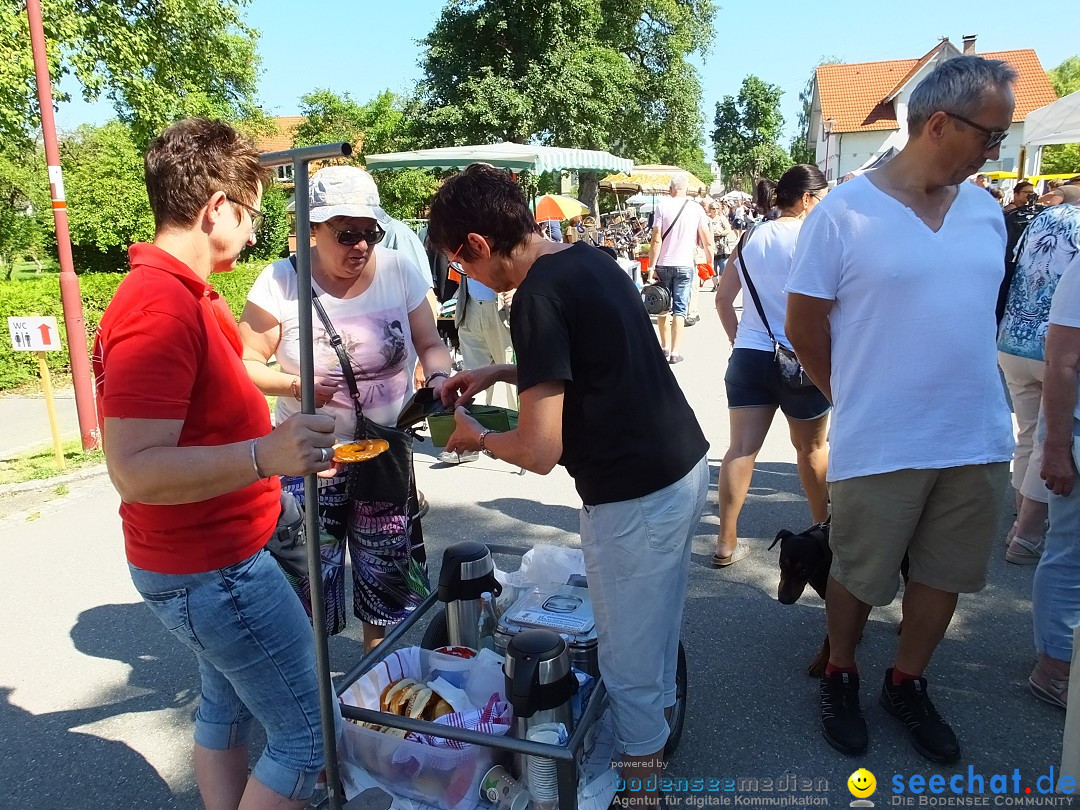 Flohmarkt und Schlossfuerhung: Zwiefaltendorf, 29.06.2019