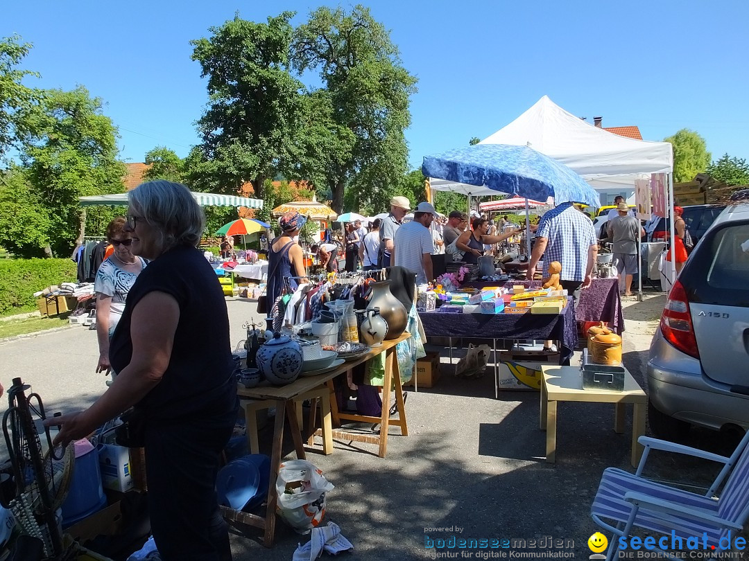 Flohmarkt und Schlossfuerhung: Zwiefaltendorf, 29.06.2019