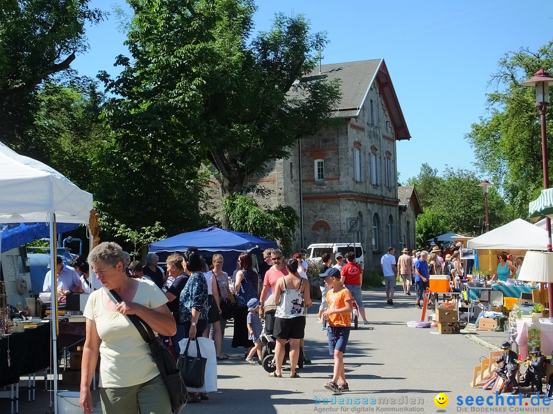 Flohmarkt und Schlossfuerhung: Zwiefaltendorf, 29.06.2019