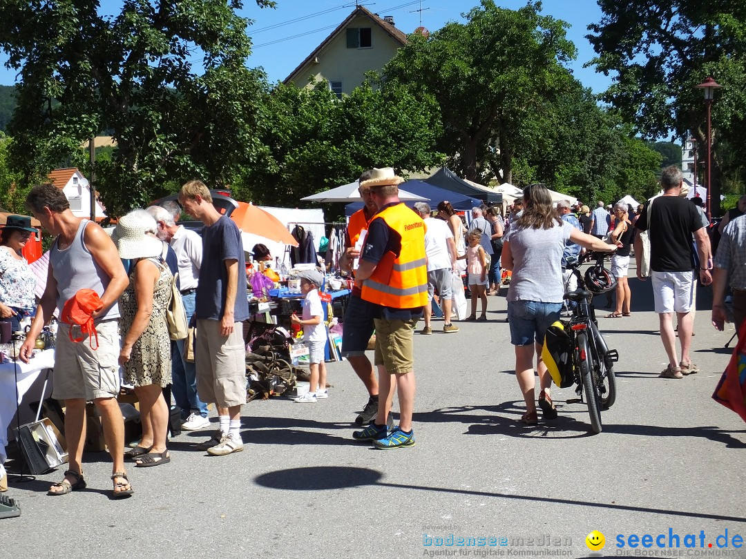 Flohmarkt und Schlossfuerhung: Zwiefaltendorf, 29.06.2019