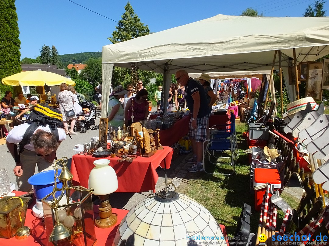 Flohmarkt und Schlossfuerhung: Zwiefaltendorf, 29.06.2019