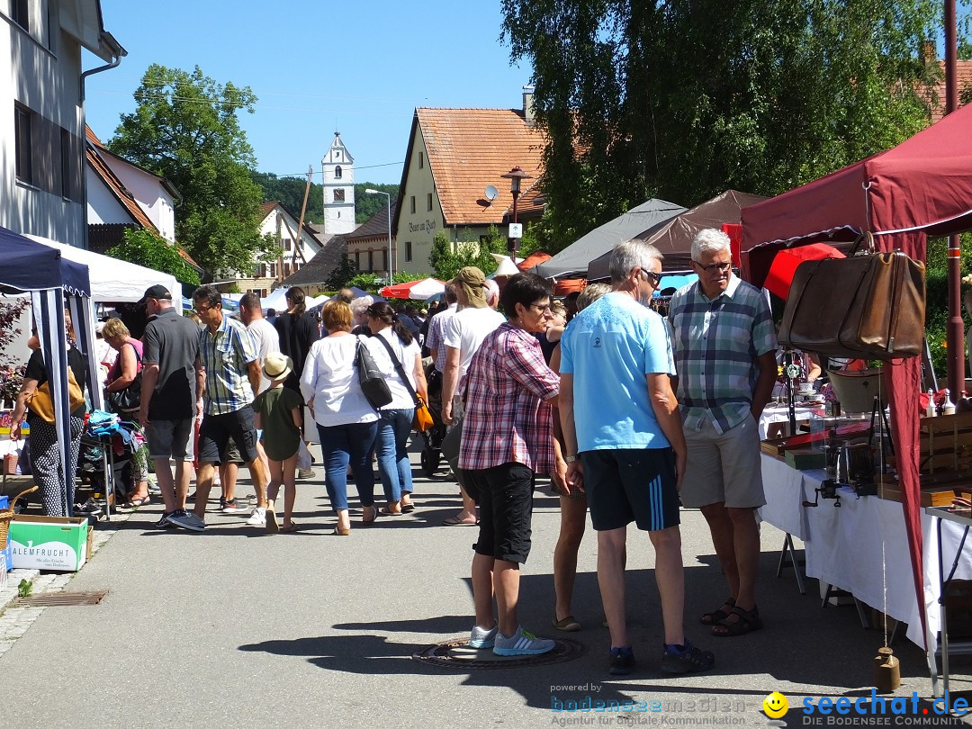 Flohmarkt und Schlossfuerhung: Zwiefaltendorf, 29.06.2019