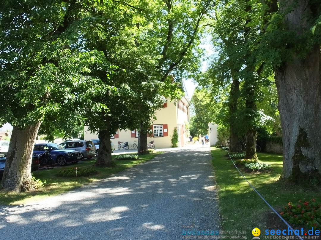 Flohmarkt und Schlossfuerhung: Zwiefaltendorf, 29.06.2019