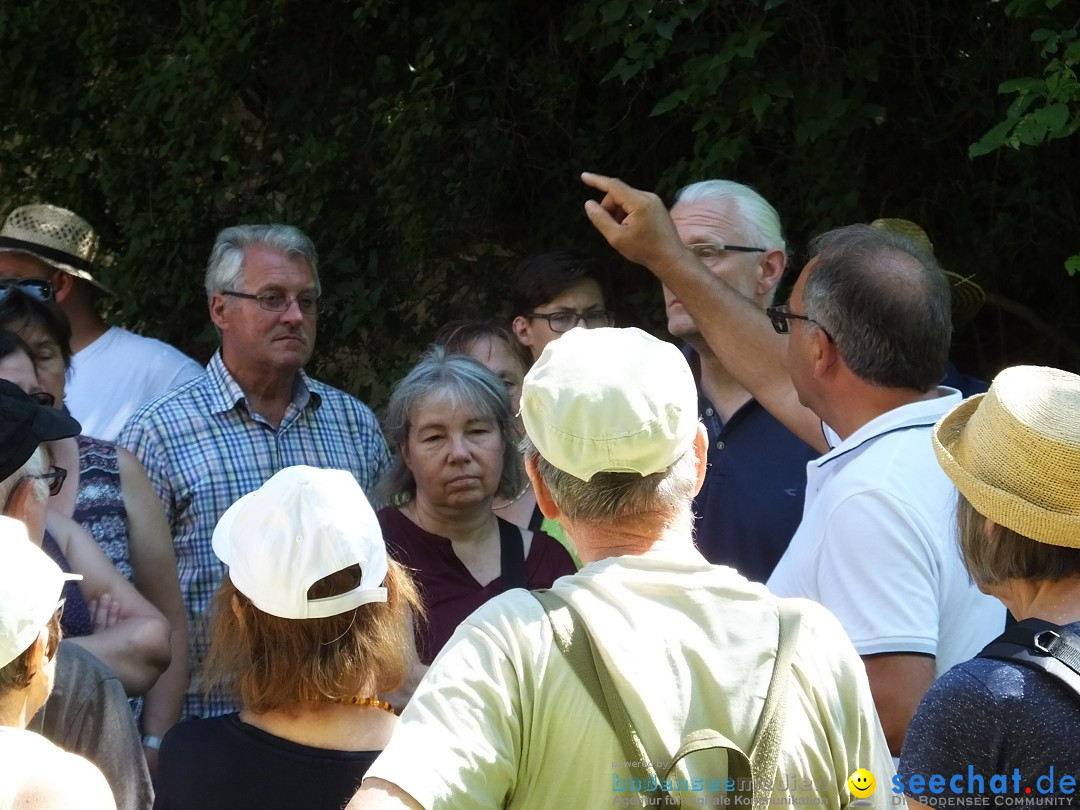 Flohmarkt und Schlossfuerhung: Zwiefaltendorf, 29.06.2019