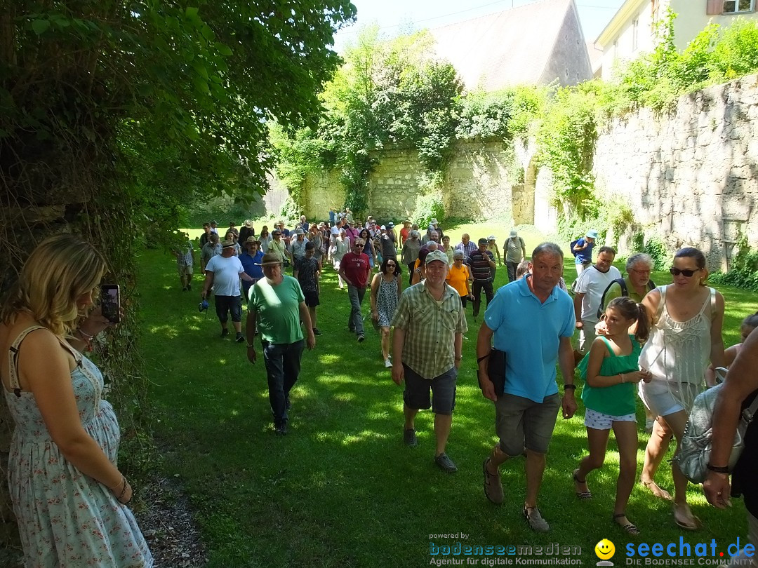 Flohmarkt und Schlossfuerhung: Zwiefaltendorf, 29.06.2019