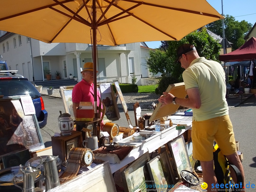 Flohmarkt und Schlossfuerhung: Zwiefaltendorf, 29.06.2019