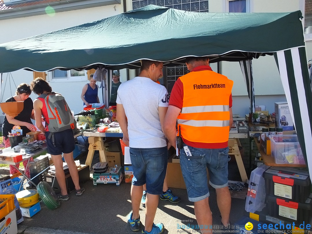 Flohmarkt und Schlossfuerhung: Zwiefaltendorf, 29.06.2019