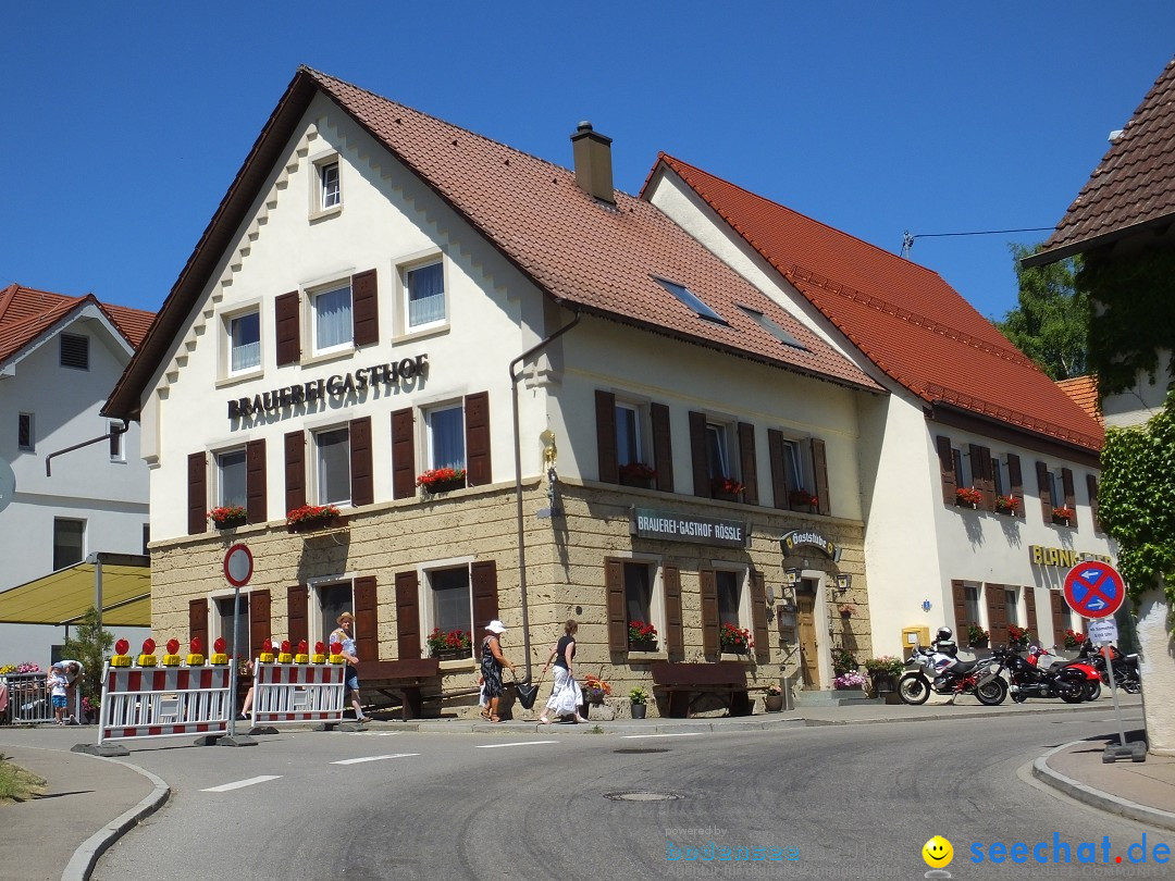 Flohmarkt und Schlossfuerhung: Zwiefaltendorf, 29.06.2019