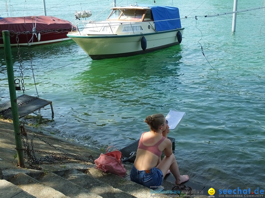 Grenzueberschreitender Hitze-Flohmarkt: Konstanz am Bodensee, 30.06.2019