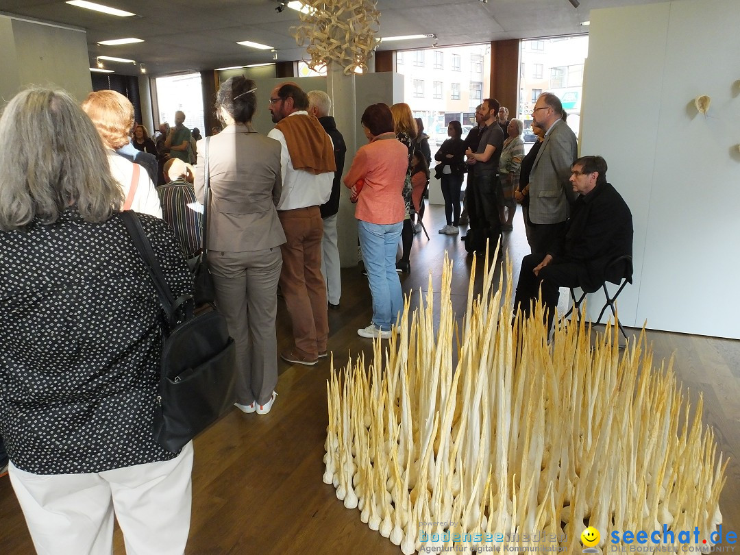 Vernissage - Natur Resonanzen - pro arte: Biberach, 11.07.0219