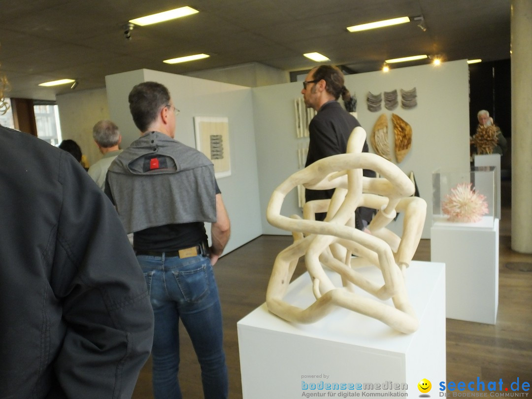 Vernissage - Natur Resonanzen - pro arte: Biberach, 11.07.0219