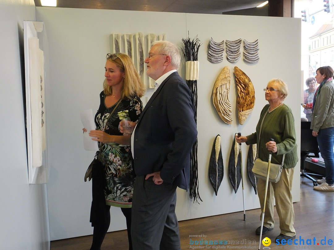 Vernissage - Natur Resonanzen - pro arte: Biberach, 11.07.0219