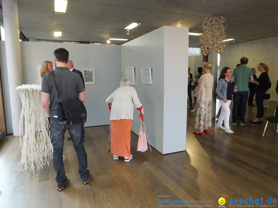 Vernissage - Natur Resonanzen - pro arte: Biberach, 11.07.0219