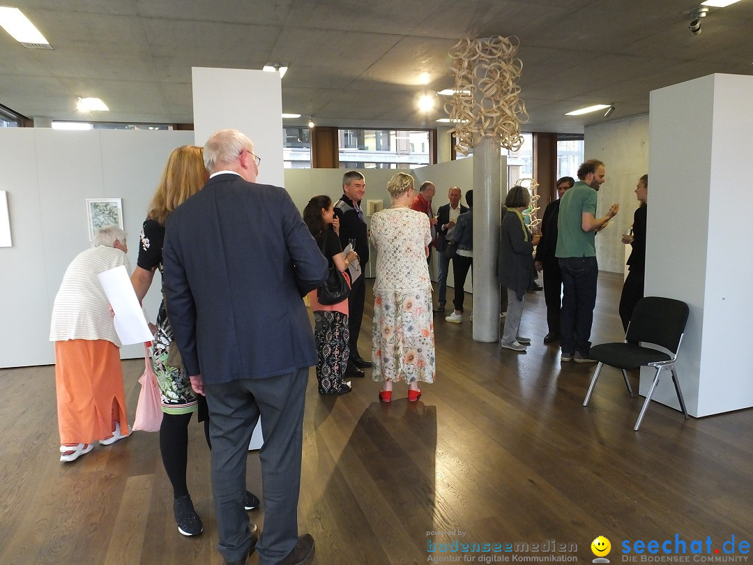 Vernissage - Natur Resonanzen - pro arte: Biberach, 11.07.0219