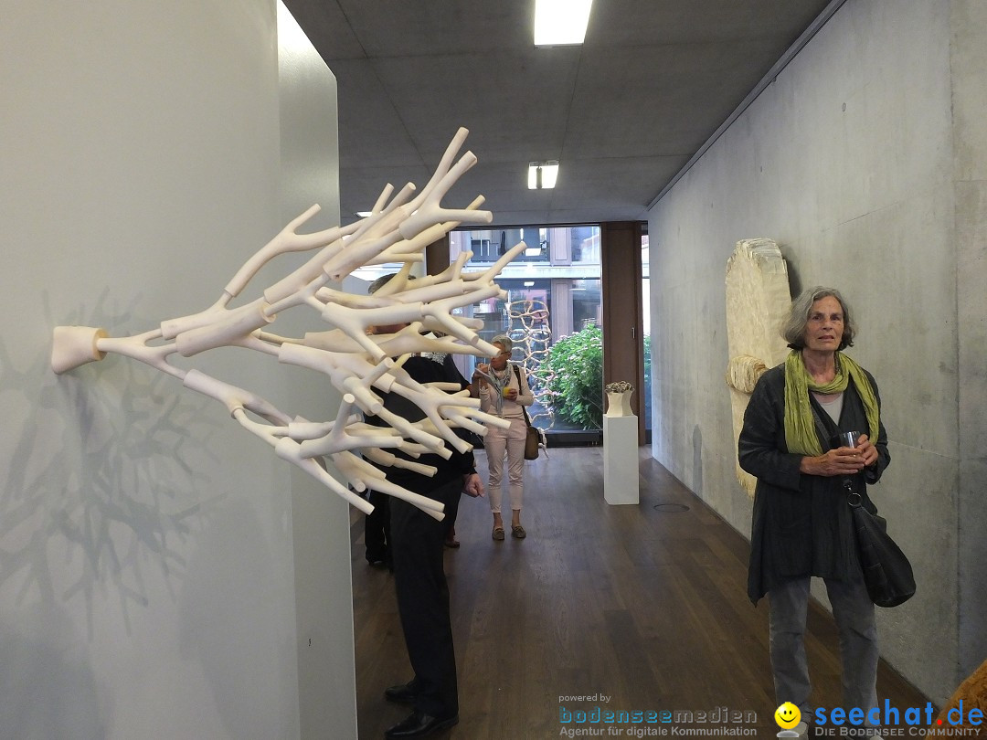 Vernissage - Natur Resonanzen - pro arte: Biberach, 11.07.0219