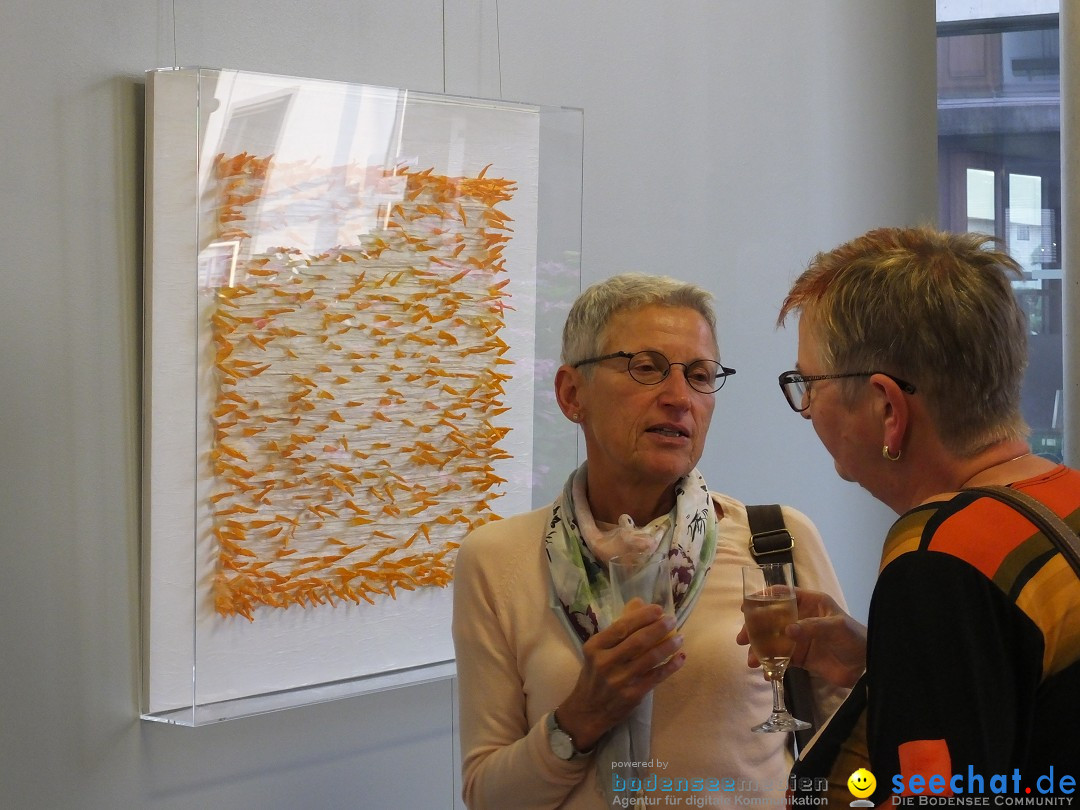 Vernissage - Natur Resonanzen - pro arte: Biberach, 11.07.0219