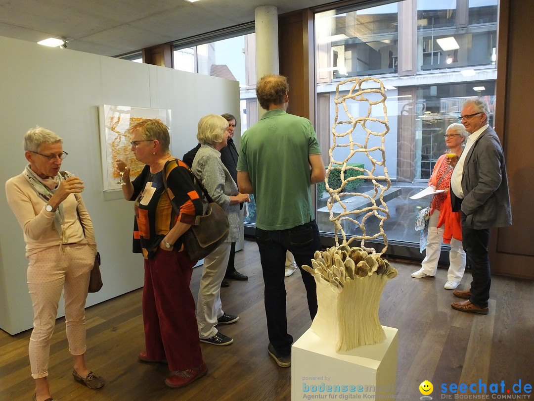 Vernissage - Natur Resonanzen - pro arte: Biberach, 11.07.0219