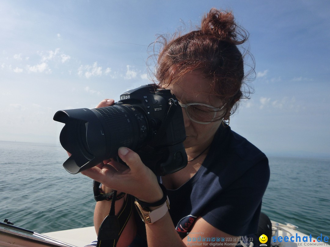 BODENSEEBOOT Breitenquerung, Juergen Genendsch: Friedrichshafen, 22.07.19