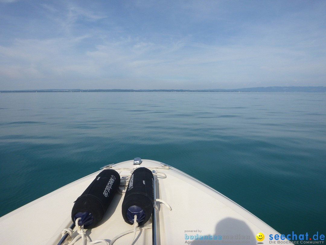 BODENSEEBOOT Breitenquerung, Juergen Genendsch: Friedrichshafen, 22.07.19