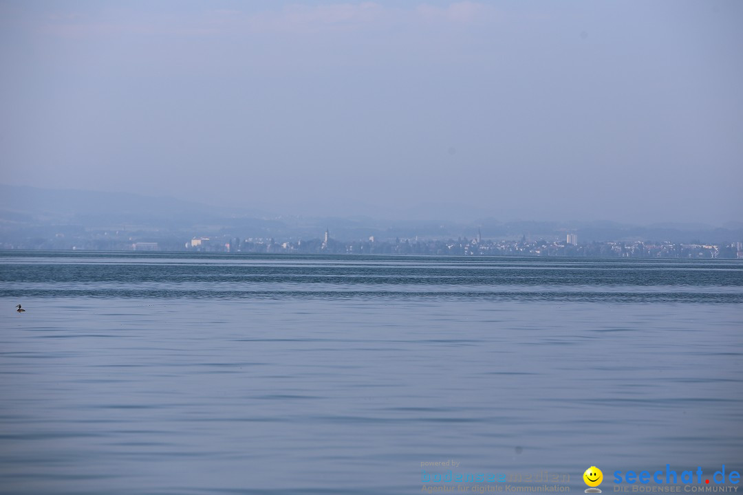 BODENSEEBOOT Breitenquerung, Familie Laier: Friedrichshafen, 25.07.19