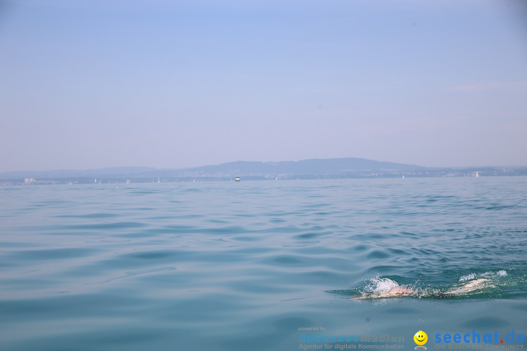 BODENSEEBOOT Breitenquerung, Familie Laier: Friedrichshafen, 25.07.19