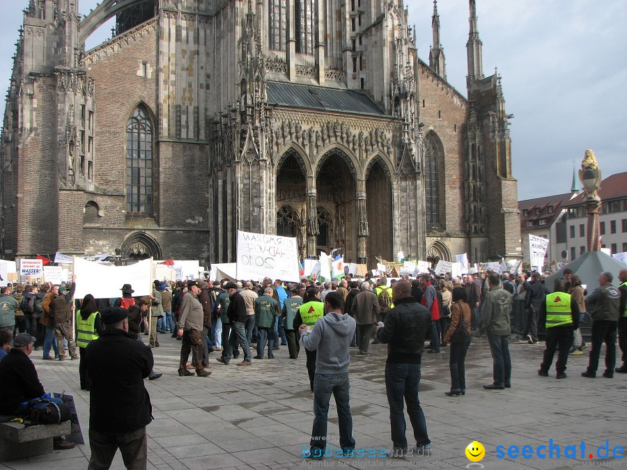 Kormoran-Demo-Muensterplatz-Ulm-200310-Die-Bodensee-Community-seechat_de-IMG_0298.JPG