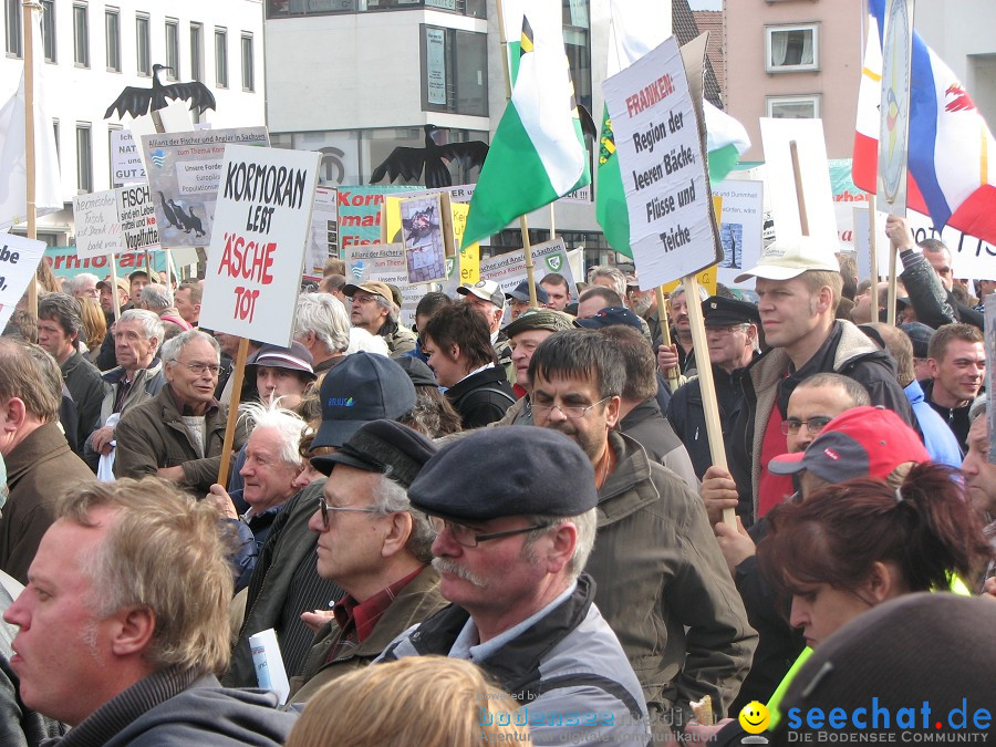 Kormoran-Demo-Muensterplatz-Ulm-200310-Die-Bodensee-Community-seechat_de-IMG_0310.JPG