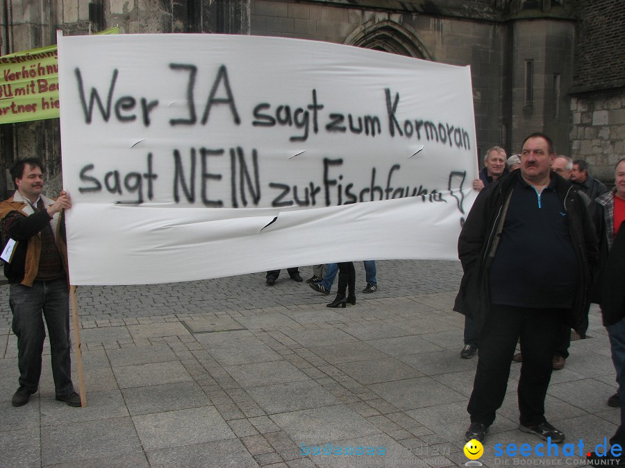 Kormoran-Demo-Muensterplatz-Ulm-200310-Die-Bodensee-Community-seechat_de-IMG_0344.JPG