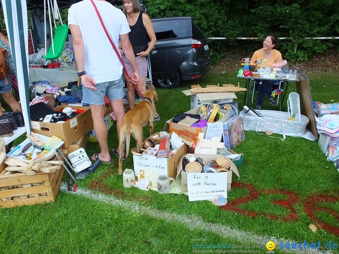 Flohmarkt in Oggelshausen, 27.07.2019