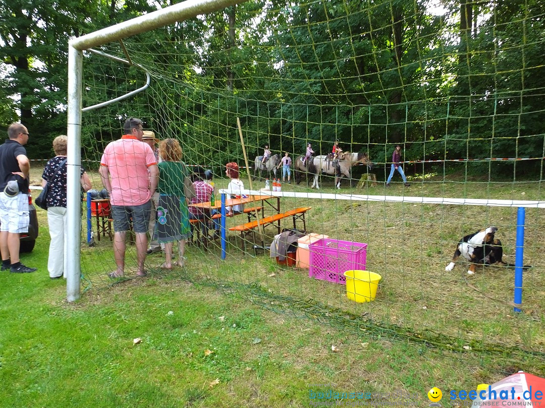 Flohmarkt in Oggelshausen, 27.07.2019