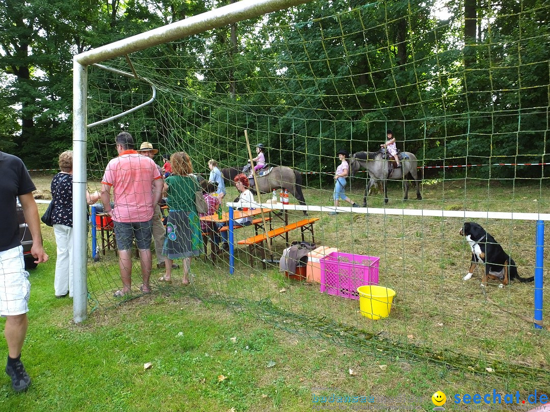 Flohmarkt in Oggelshausen, 27.07.2019