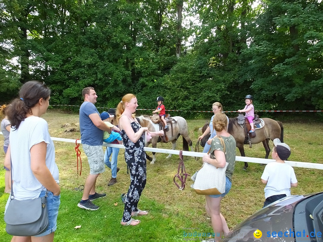 Flohmarkt in Oggelshausen, 27.07.2019