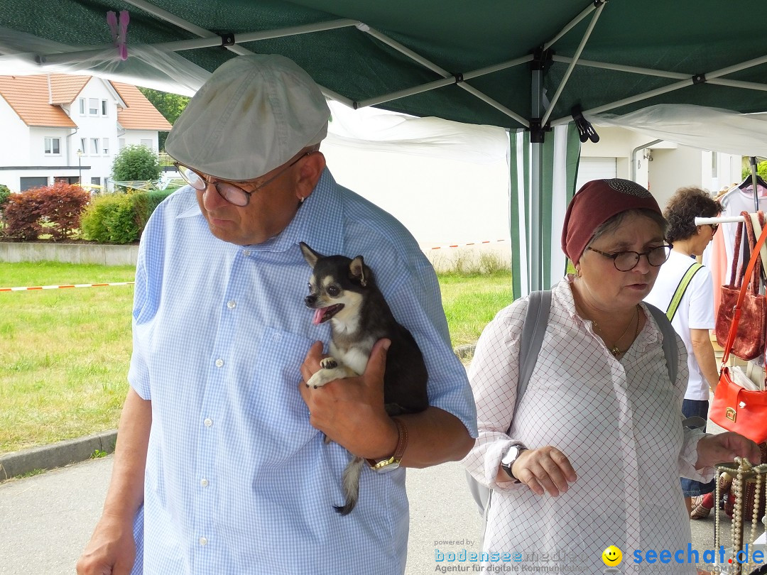 Flohmarkt in Oggelshausen, 27.07.2019