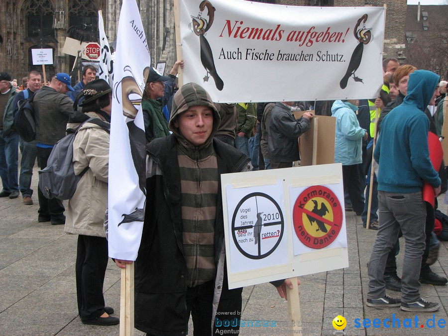 Kormoran-Demo-Muensterplatz-Ulm-200310-Die-Bodensee-Community-seechat_de-IMG_0389.JPG