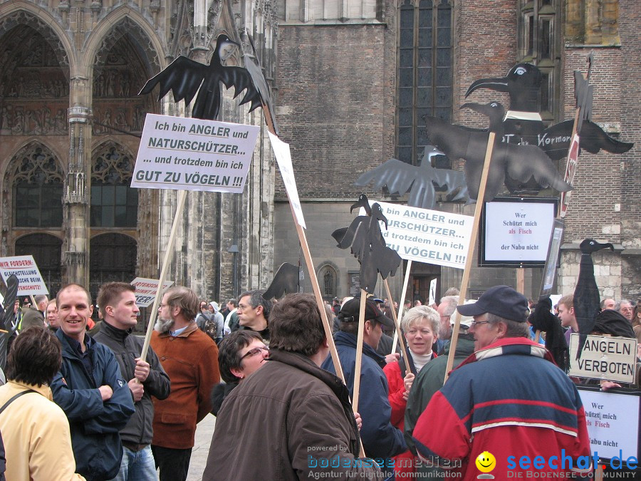 Kormoran-Demo-Muensterplatz-Ulm-200310-Die-Bodensee-Community-seechat_de-IMG_0392.JPG