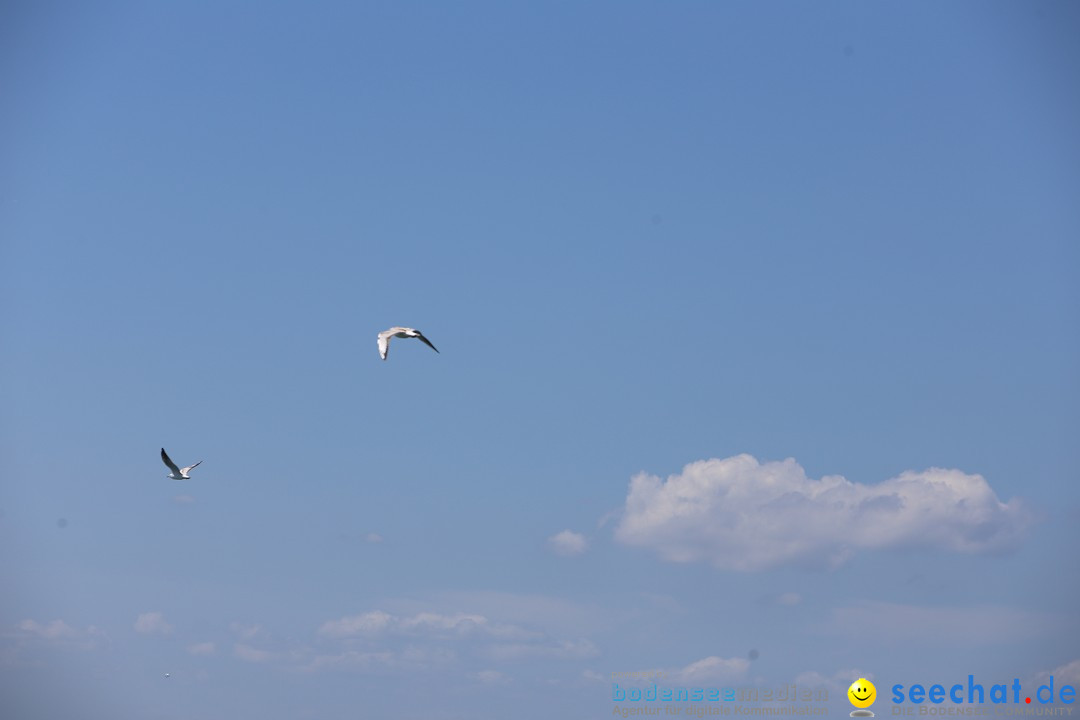 BODENSEEBOOT - Bodenseequerung: Patrick Loechle: Friedrichshafen, 01.08.201