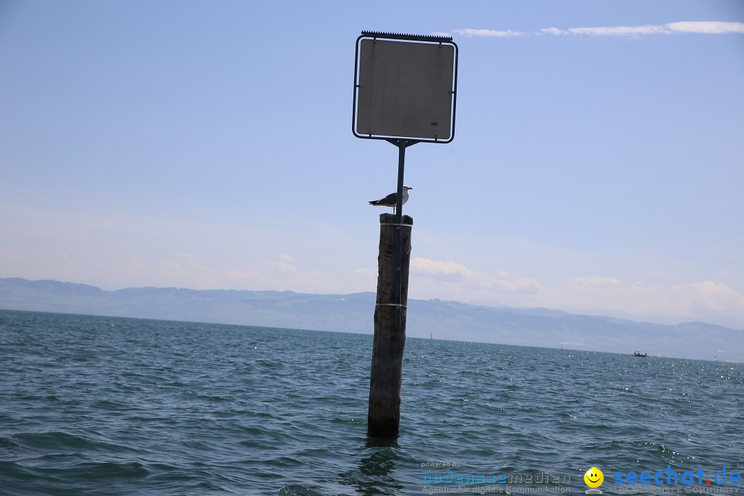 BODENSEEBOOT - Bodenseequerung: Patrick Loechle: Friedrichshafen, 01.08.201