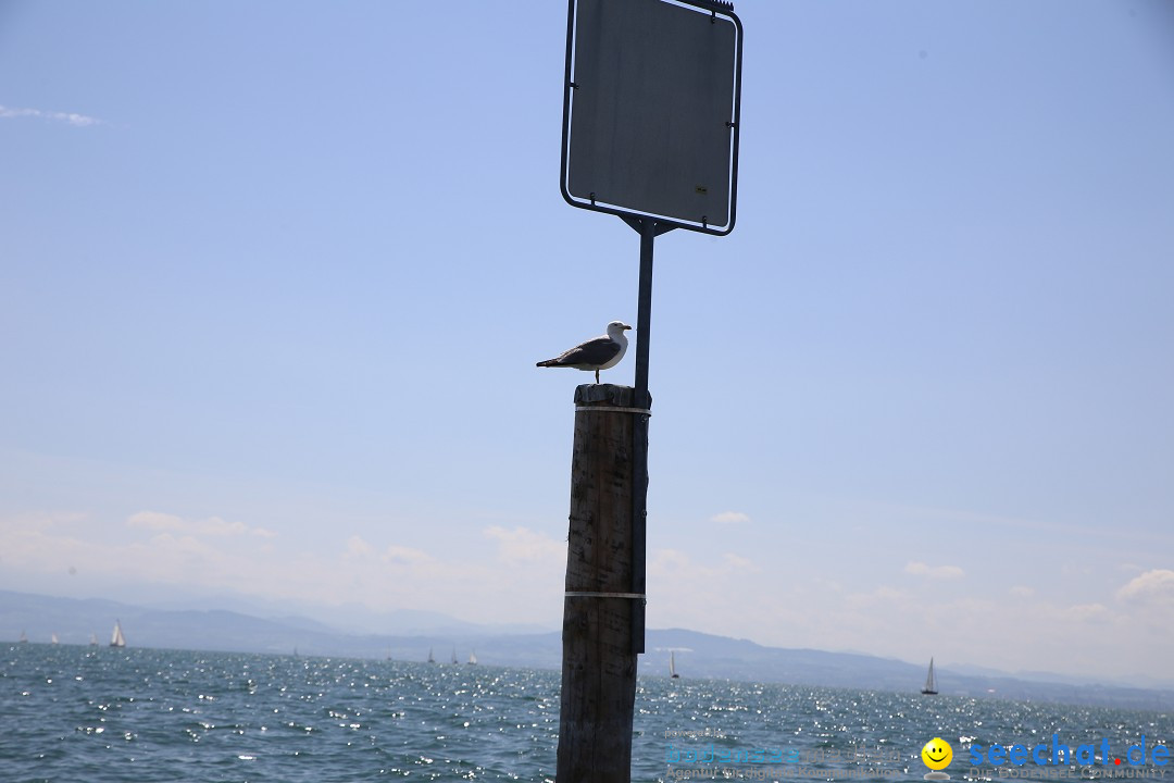 BODENSEEBOOT - Bodenseequerung: Patrick Loechle: Friedrichshafen, 01.08.201