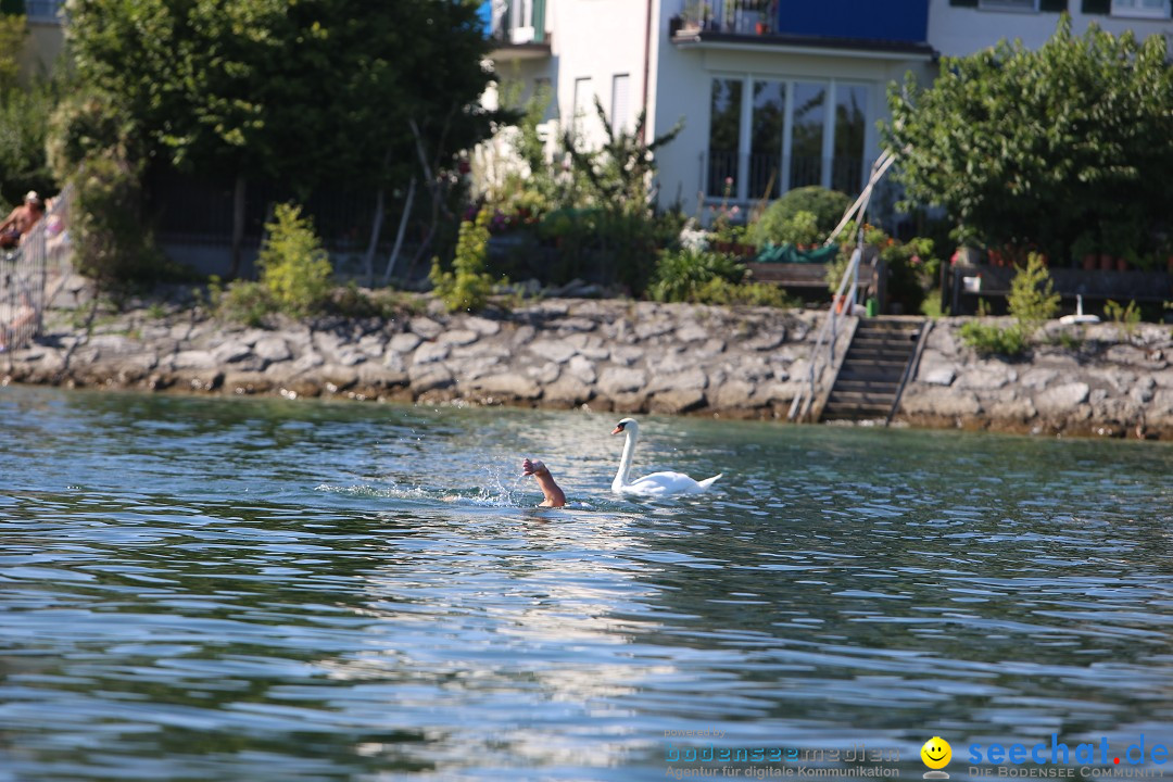 BODENSEEBOOT - Bodenseequerung: Ulrike Roedel: Friedrichshafen, 09.08.2019