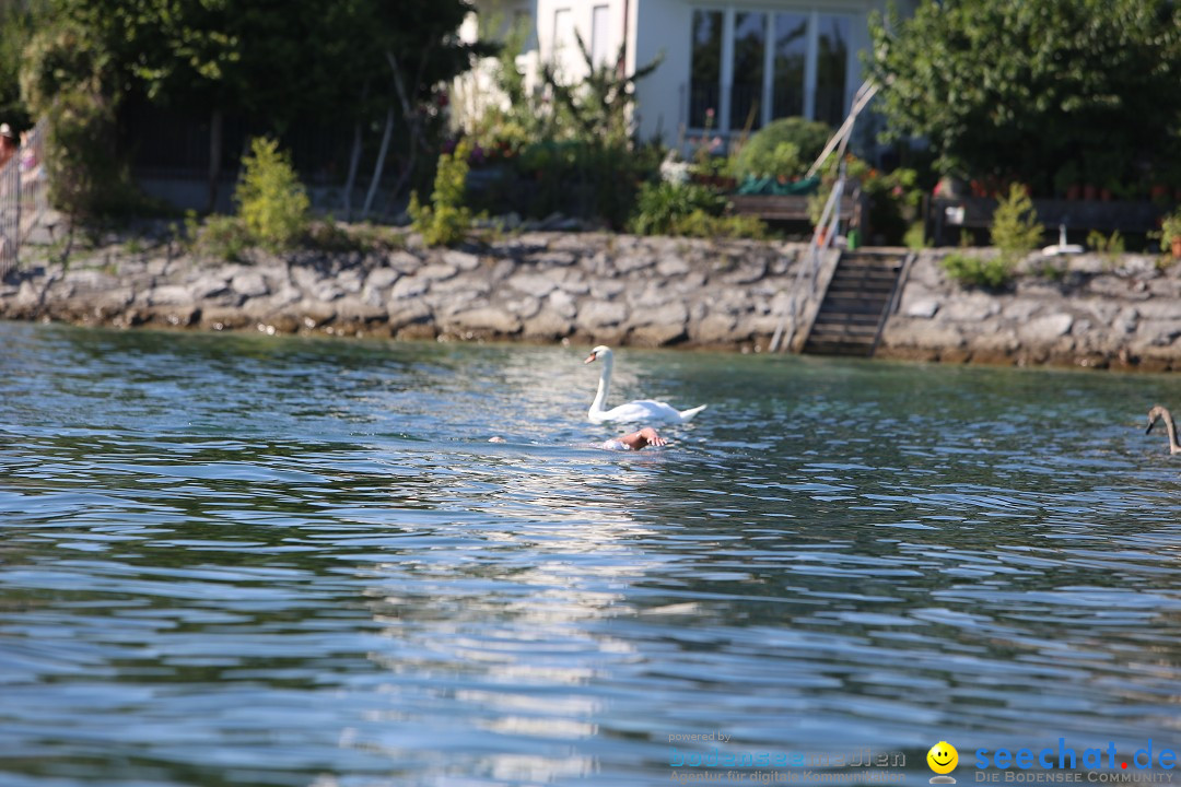 BODENSEEBOOT - Bodenseequerung: Ulrike Roedel: Friedrichshafen, 09.08.2019