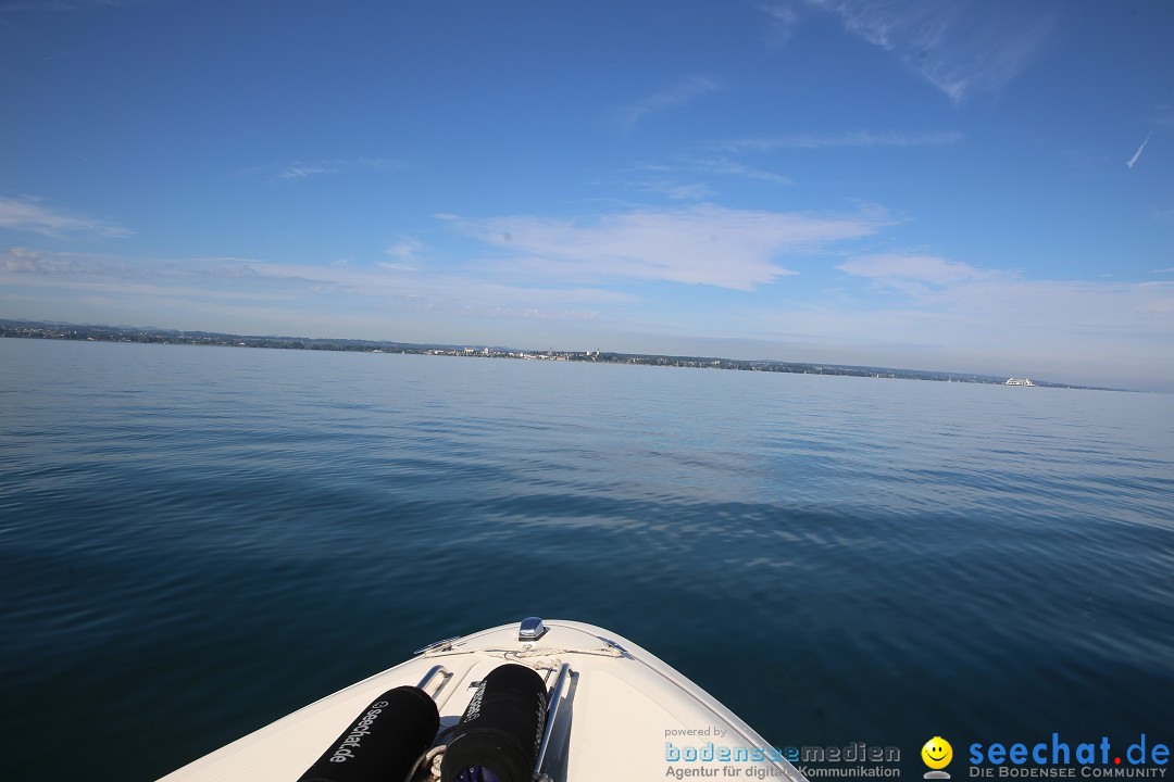 BODENSEEBOOT - Bodenseequerung: Ulrike Roedel: Friedrichshafen, 09.08.2019