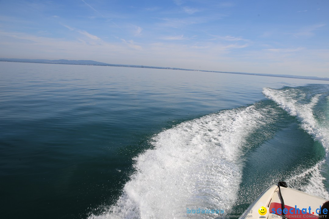 BODENSEEBOOT - Bodenseequerung: Ulrike Roedel: Friedrichshafen, 09.08.2019