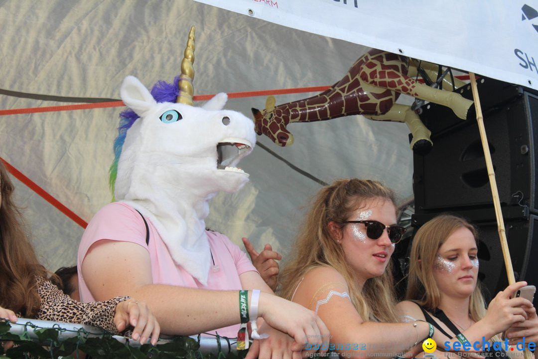 Streetparade 2019 - Colours Of Unity: Zuerich, 10.08.2019