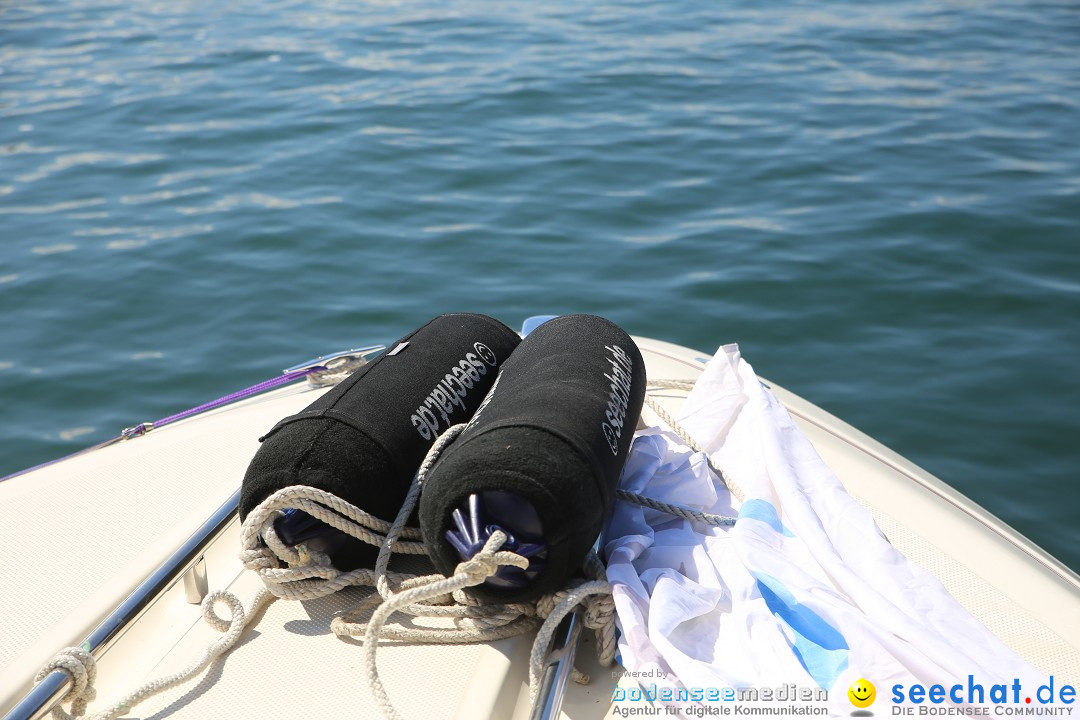 BODENSEEBOOT - Bodenseequerung: Stefan Koske: Friedrichshafen, 14.08.2019