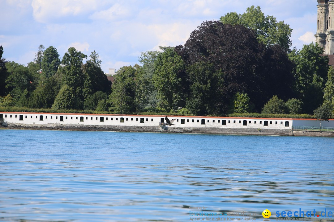 BODENSEEBOOT - Bodenseequerung: Stefan Koske: Friedrichshafen, 14.08.2019