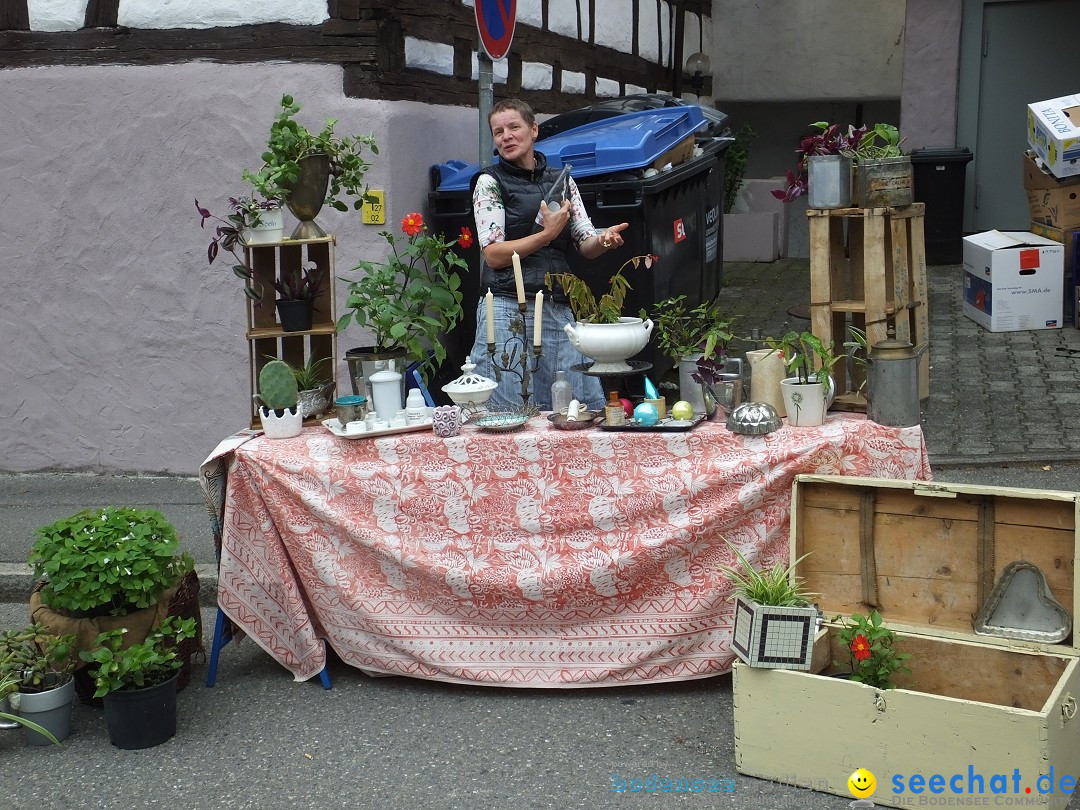 Schloss- und Kinderfest: Aulendorf, 17.08.2019