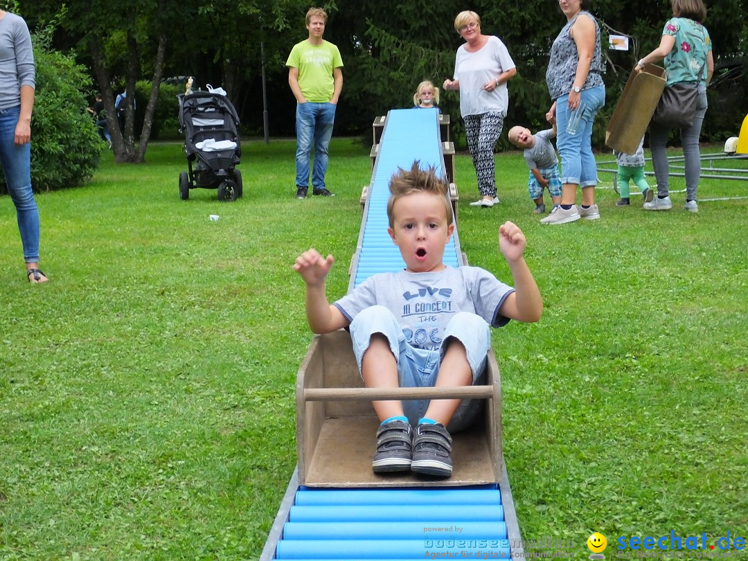 Schloss- und Kinderfest: Aulendorf, 17.08.2019