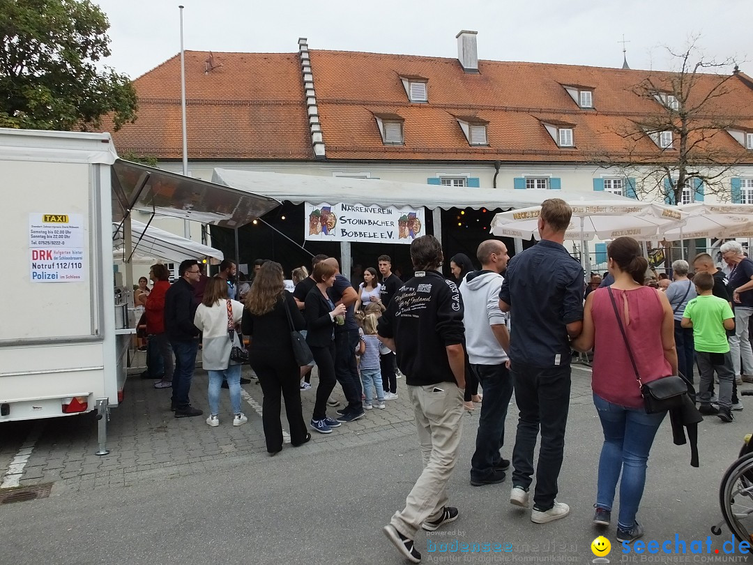 Schloss- und Kinderfest: Aulendorf, 17.08.2019