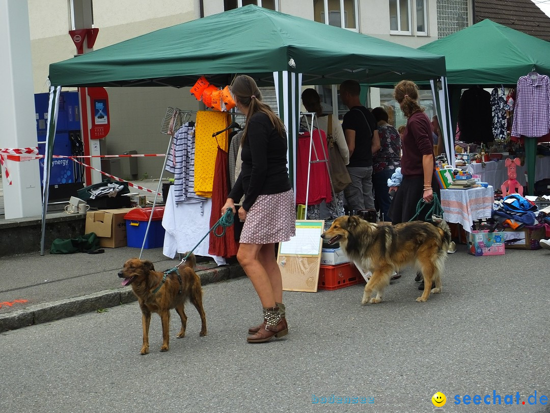 Schloss- und Kinderfest: Aulendorf, 17.08.2019